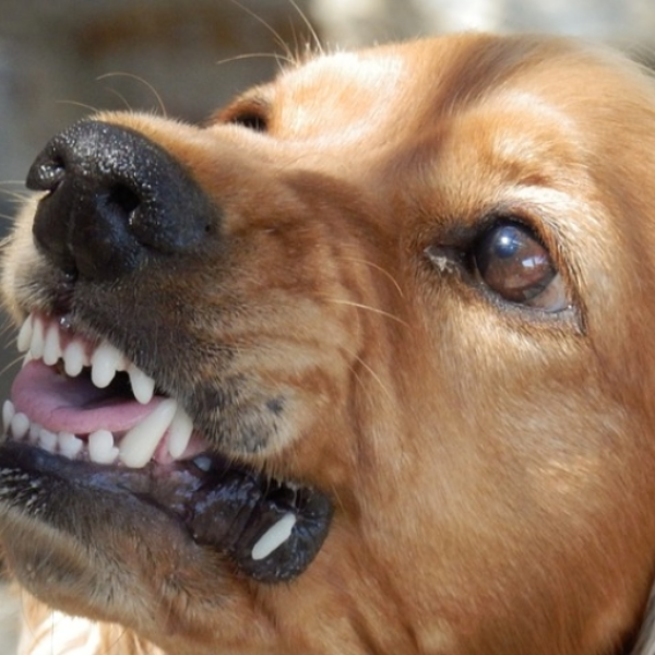 Anger
