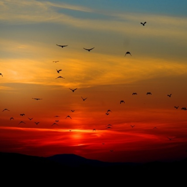 Morning Rise (Jordo Re-edit)