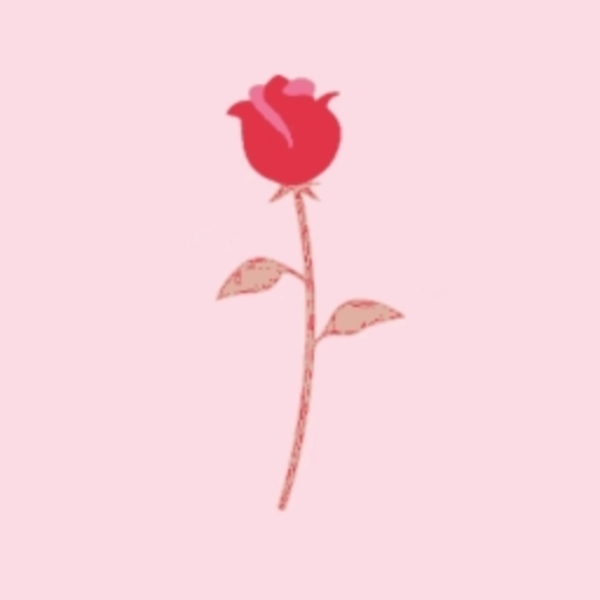 midnight rose (Ci Vai Remix)