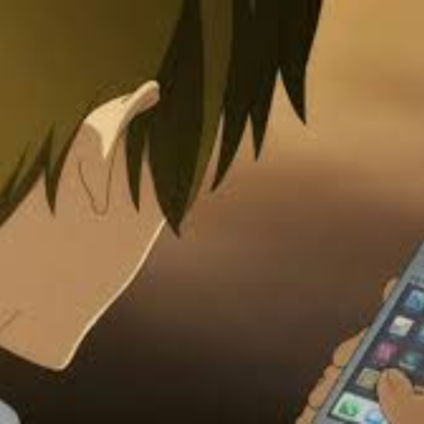 End Call(PREVIEW)