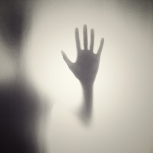 Fear