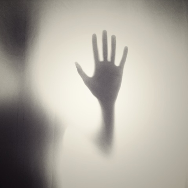 Fear