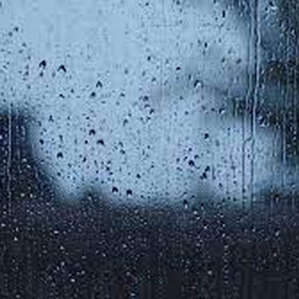 Loneliness