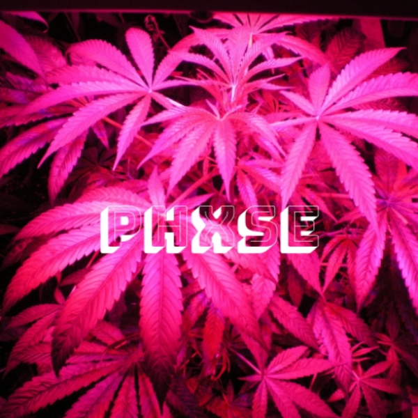P H x S E