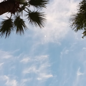 i saw the sky