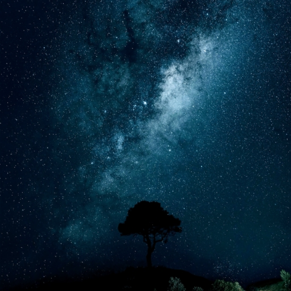 Wandering Stars