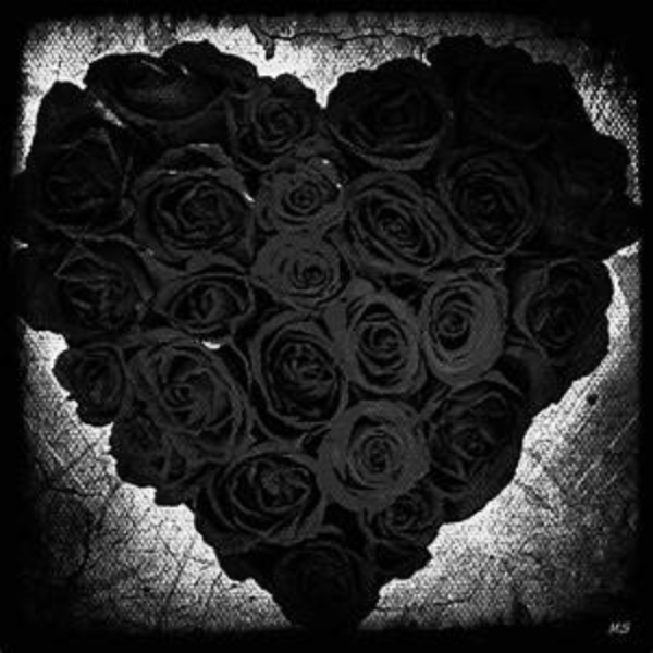 Black Rose