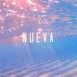 Nueva (momo x salvo)