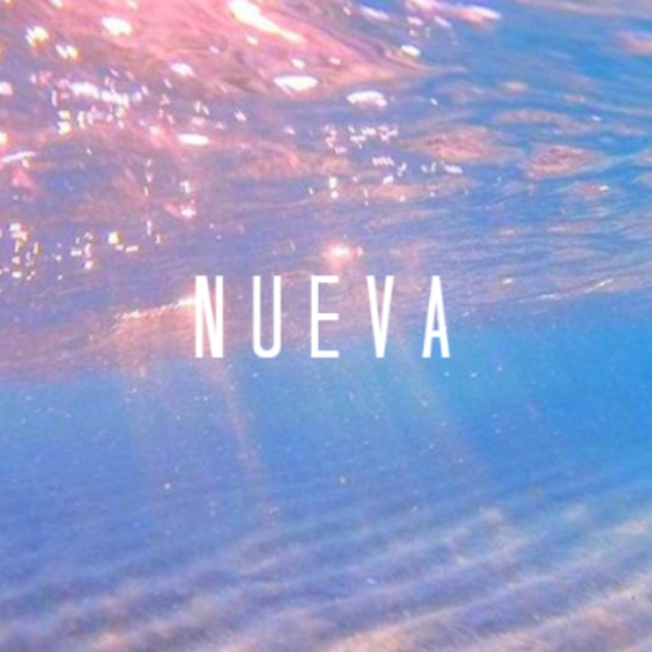 Nueva (momo x salvo)