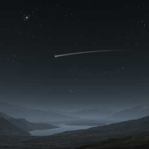 a shooting star saw us and made a wish