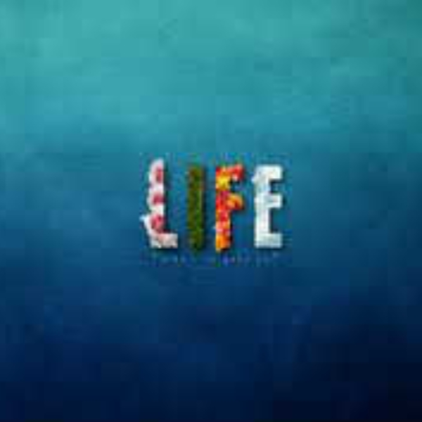 A Song About Life