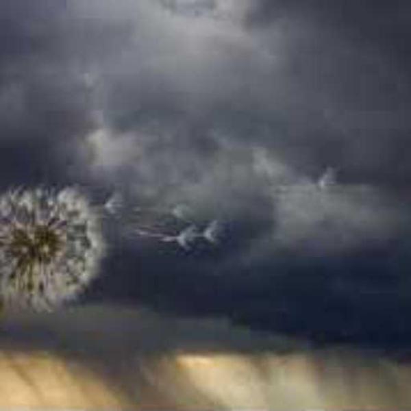 A Storm is Gathering