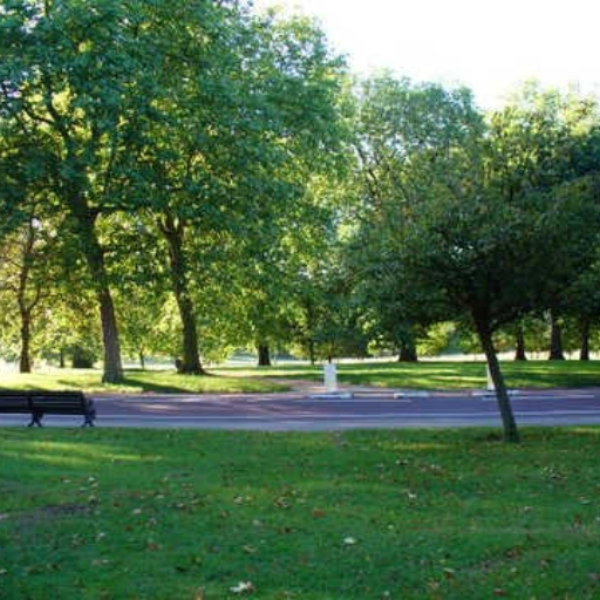 A Walk in the Park