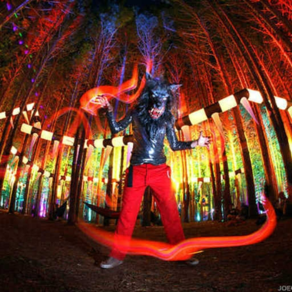 a walk through the forest