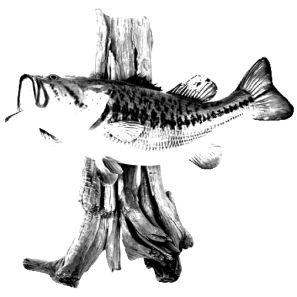Lazy Bass Stab