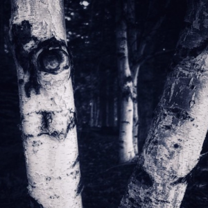 The ghost Inside me