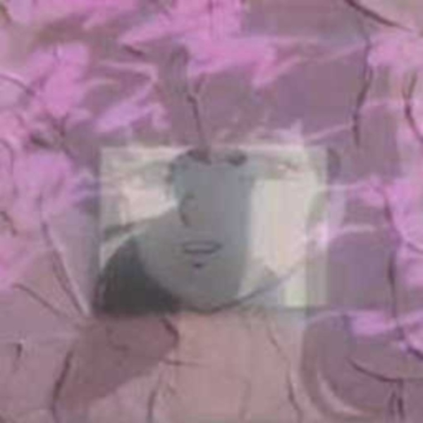 X / / 16