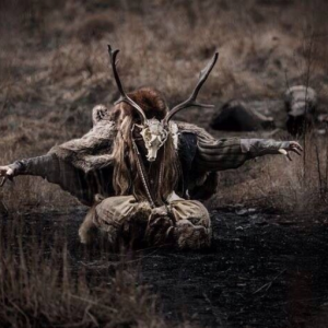 Roots