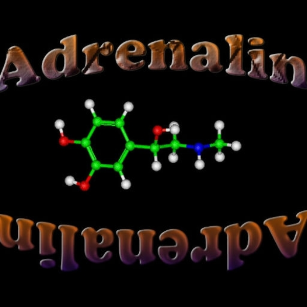 Adrenalin extended