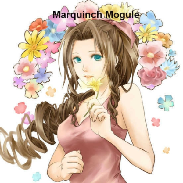 Aerith's Flowers