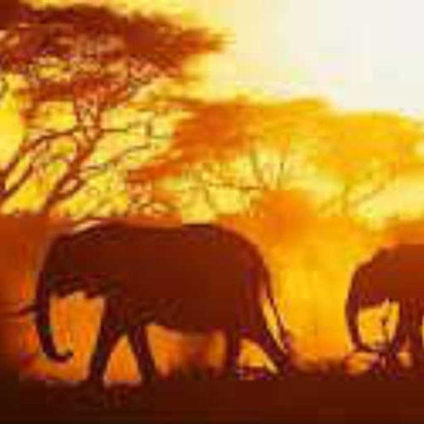 Africa