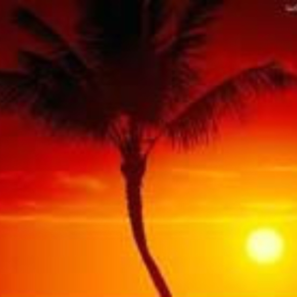 African sunset