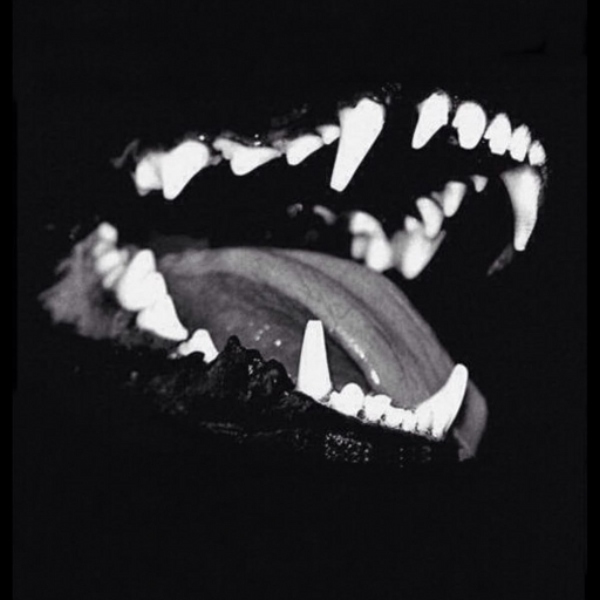 wolves