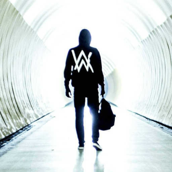 alan walker remix