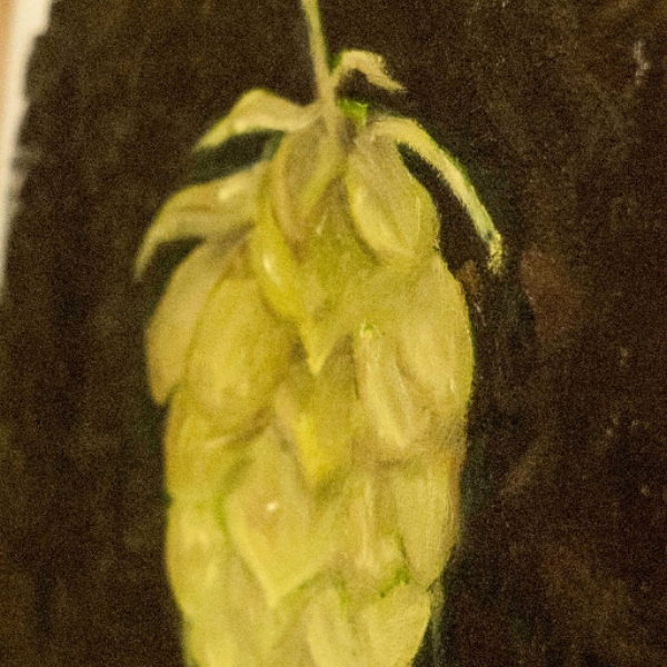 Albendazol - Hop