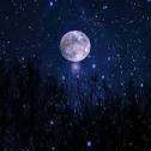 All Nighter