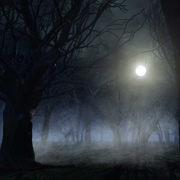 Dark Forest