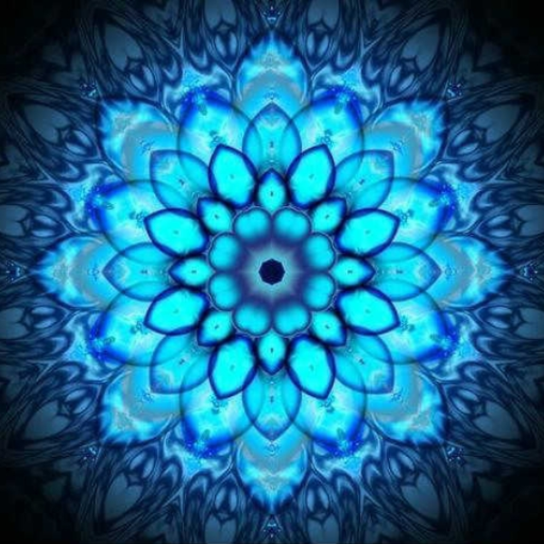 Ambrosia