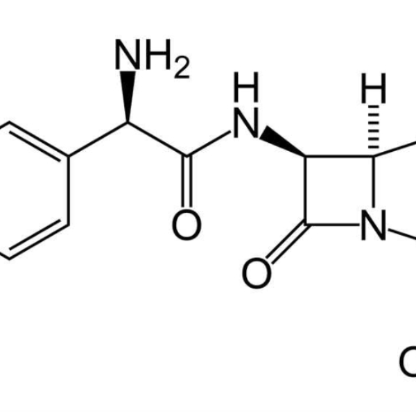 Amoxicillin