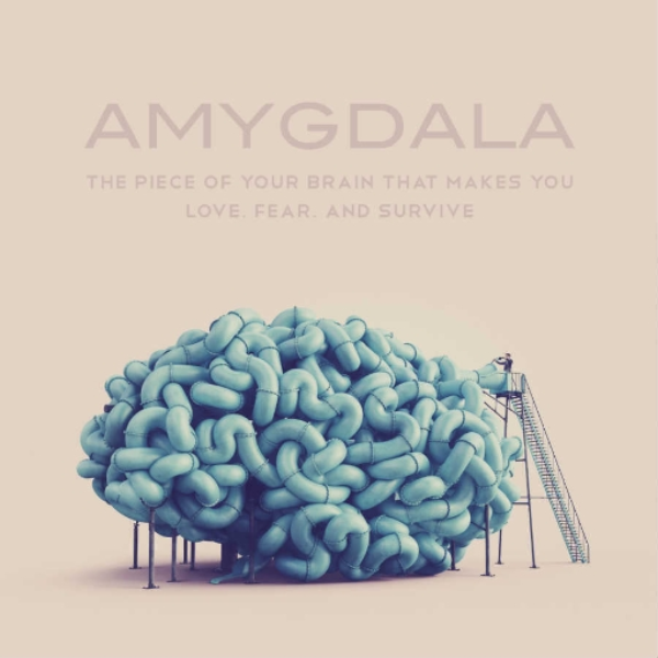 Amygdala