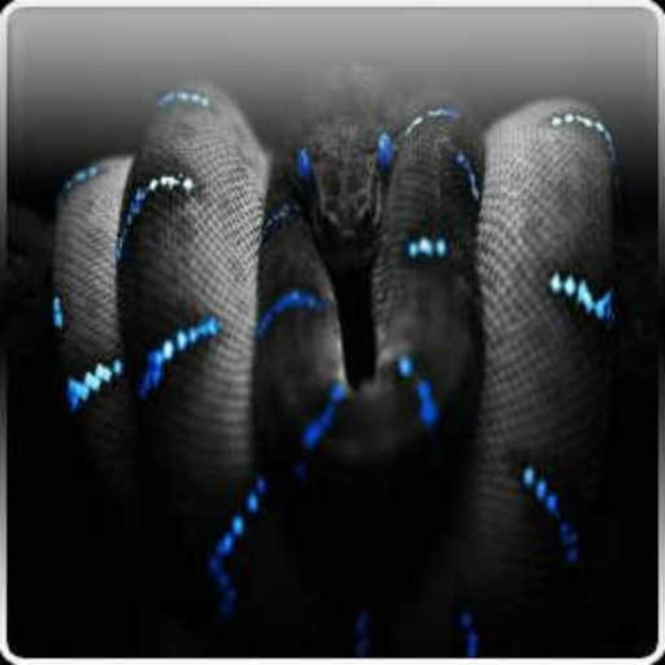 Anaconda (original mix)