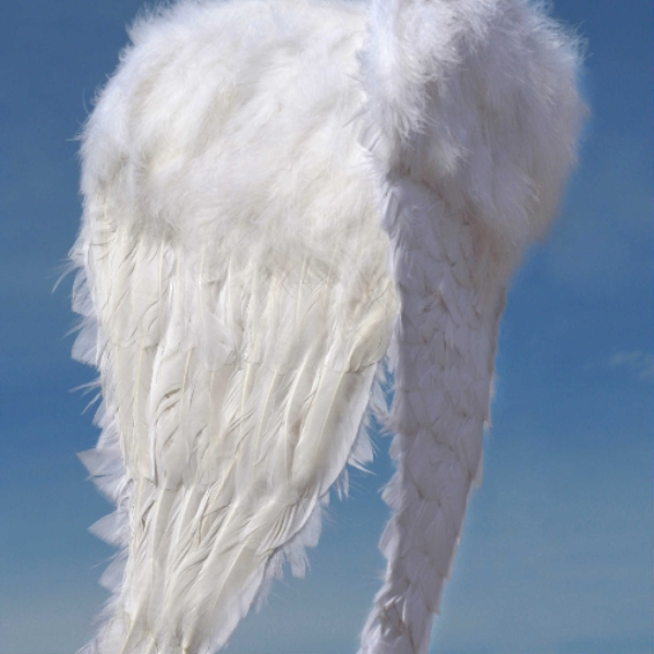 Angelic fixed