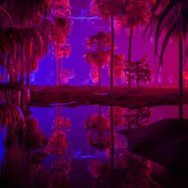 hallucinations