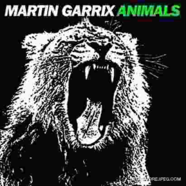 animal$$$™✪ "martin gayrix" type beat