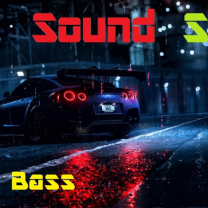 - Sound Soup -