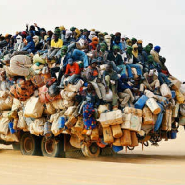 Anthill