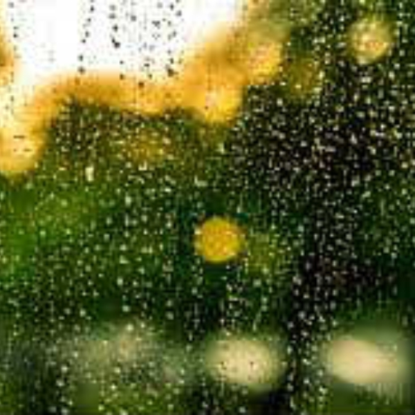 Apples