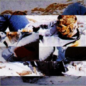 Arctic mercinary