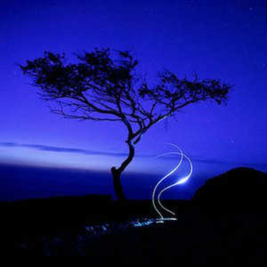 Arp