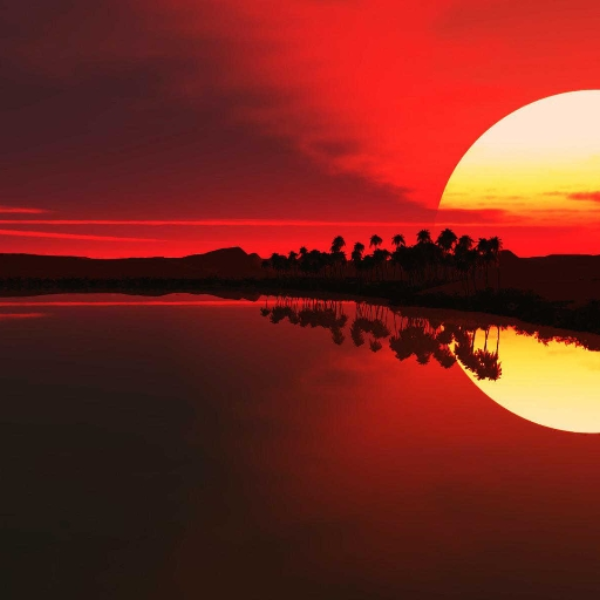 At the Pursuit of the Sun