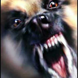 Attack!!!