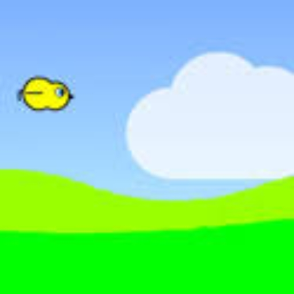 I can fly