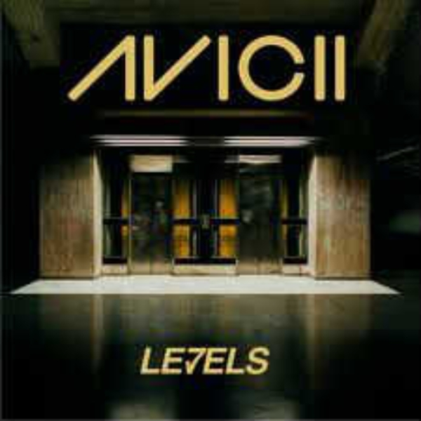 Avicii-Levels (Club Mix)