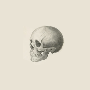 graves