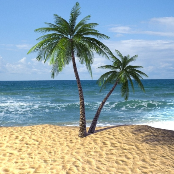 tropical