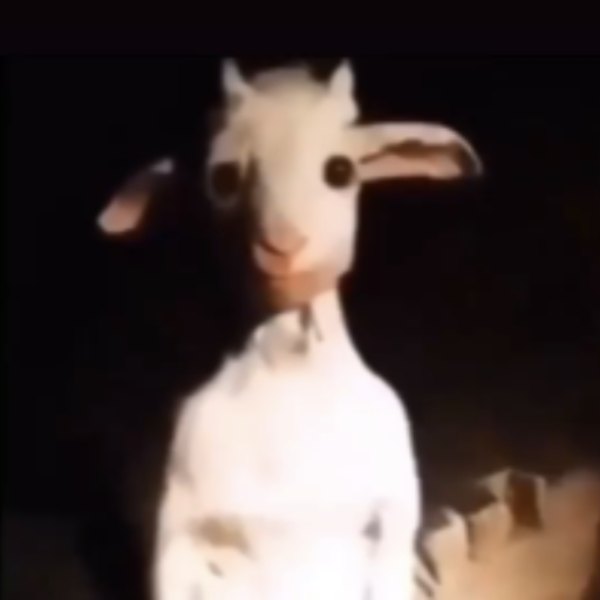 wtf